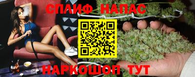 ешки Будённовск