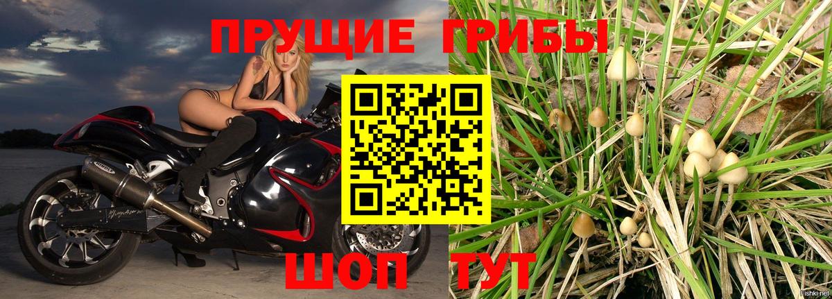 Галлюциногенные грибы ЛСД  Галлюциногенные грибы ЛСД  Темрюк  продажа наркотиков  Вход с VPN 