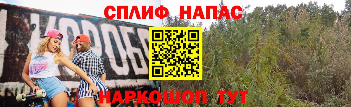 Бошки марихуана планчик  МАРИХУАНА OG Kush  Темрюк  Бошки марихуана Ganja  Вход с VPN  МАРИХУАНА LSD WEED 