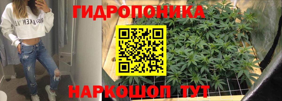 Канабис планчик Темрюк